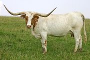s_3017_s.jpg - 