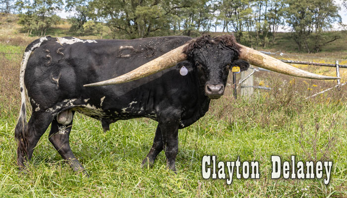 Clayton Delaney