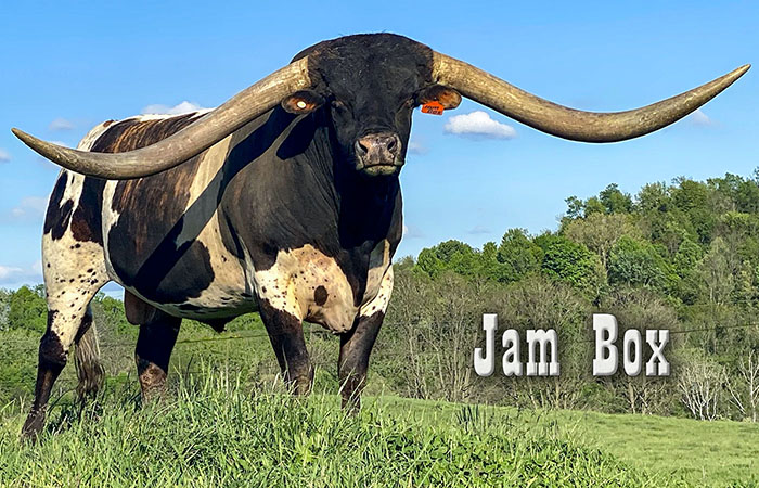 Jam Box