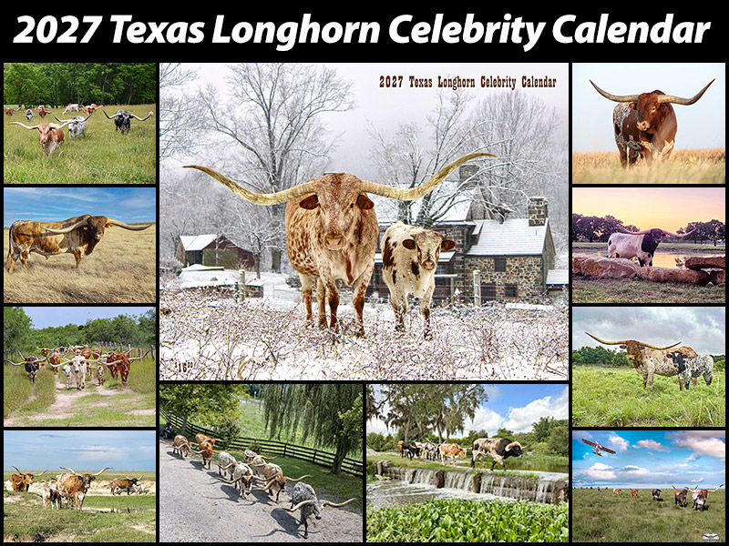 Dickinson Cattle Co, LLC