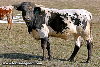 McBlank - Photo Number: 25J_0287.jpg