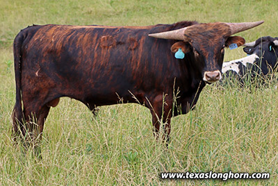 Shining Edge - Photo Number: k_4042.jpg