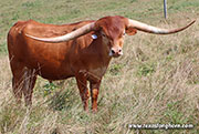 25D_3615.jpg