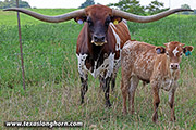 25J_3030.jpg