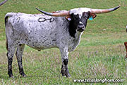 25J_4796.jpg