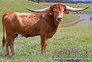 25J_4806.jpg