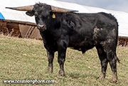 26D_0099.jpg