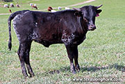 26D_0260.jpg