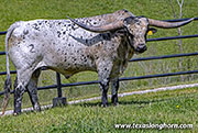 Sire - Giver - Photo Number: 26D_0557.jpg