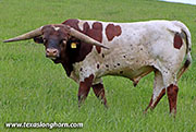 26D_0744.jpg