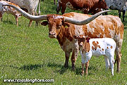 So What - I-281119 - 26D_1106