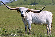 26D_1242.jpg - Flair Child