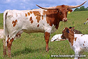 26D_1775.jpg - A Mark Above