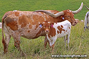 26D_2086.jpg - So What