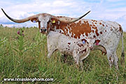 Speak Out - I-291559 - 26D_2155