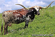 26D_2349.jpg - Under Handed