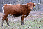 26J_0081.jpg - Span Around