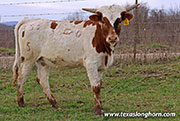 26J_0497.jpg