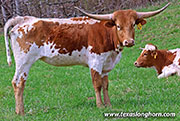 26J_0668.jpg