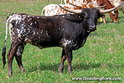 26J_0672.jpg