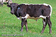 26J_0681.jpg