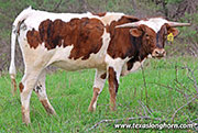 Jam Line - Jam Line - 26J_0723