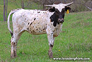 26J_0738.jpg
