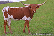 26J_0840.jpg