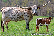 To Obsess - I-280773 - 26J_1022
