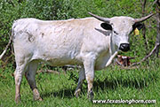 26J_1376.jpg