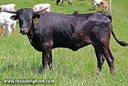 26J_1399.jpg