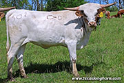26J_1405.jpg