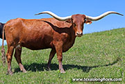 Iron Jam - I-286776 - 26J_1437