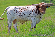26J_1555.jpg