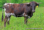 Split Up - Split Up - 26J_1823