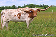 Toss'N Mac - Toss'n Mac - 26J_2717