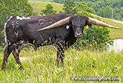 Clayton Delaney - Clayton Delaney - 26J_3042