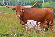 26J_3113.jpg - Pretty Point