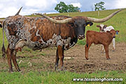 A Cut Above - Photo Number: 26J_3290.jpg