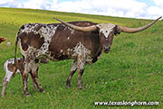 26J_3369.jpg - Silver Rock