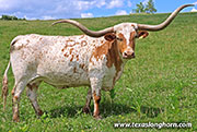 26J_3413.jpg - Toss'N Stop