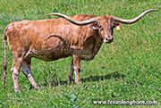 26J_3453.jpg - Jest A Drag