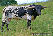 McBlank - McBlank - 26J_3602