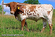 26J_3626.jpg - More Marks