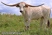 26J_3672.jpg - Not Shy