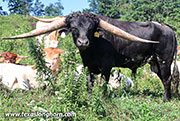 Clayton Delaney - Clayton Delaney - 26J_4526