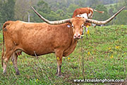 Winner s Kip - Photo Number: 26J_5042.jpg