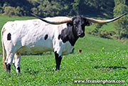 Silent Fame - Silent Fame - 26J_5248