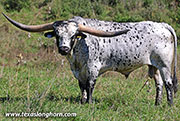 Giver - I-291884 - 26J_5257