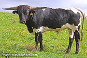 Mach Speed - Mach Speed - 26J_5343